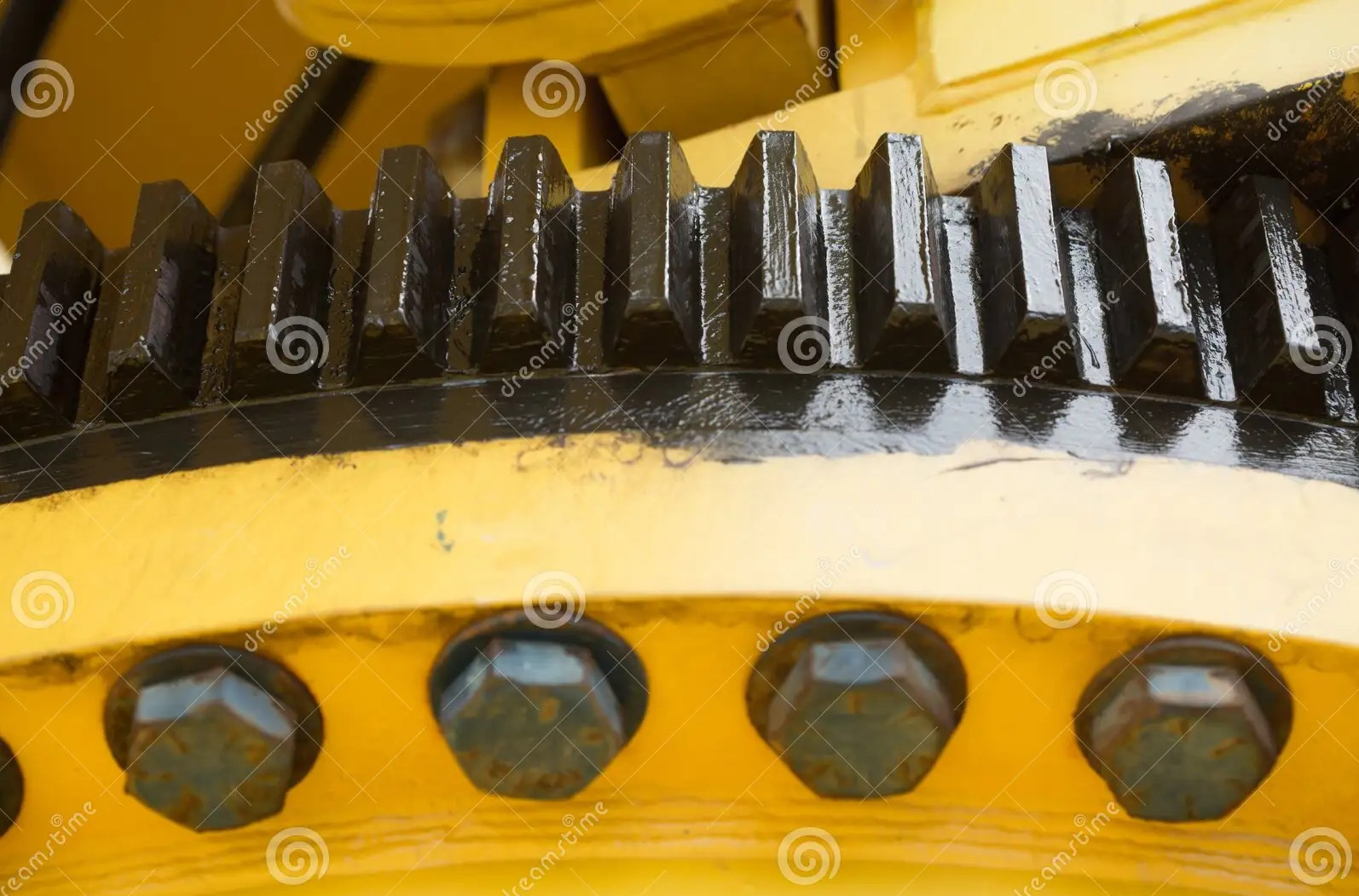 Nut
